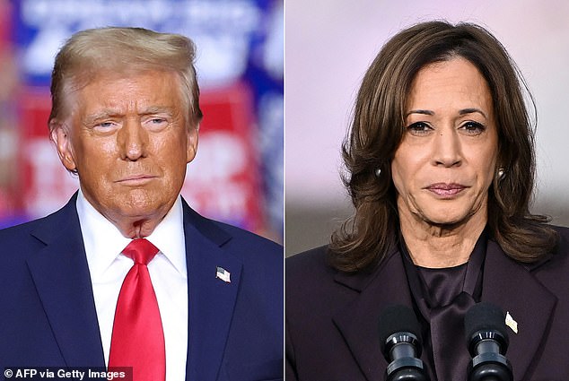 Both Donald Trump and Kamala Harris backed the push to legalize cannabis in Florida during the US election, but voters rejected a change to the state constitution last week.