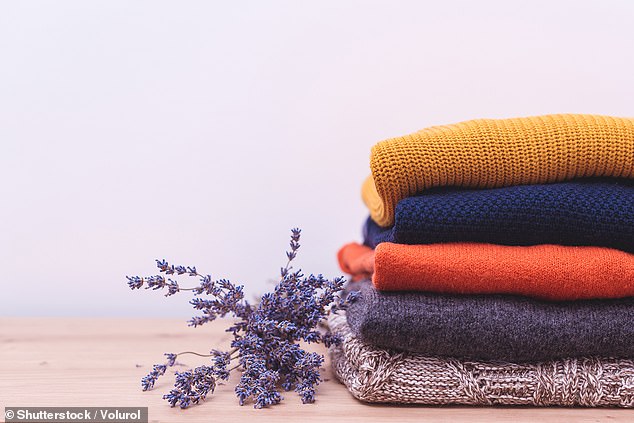 While editor-in-chief of Vogue, Alexandra had an excellent collection of cashmere, but she took a cavalier approach to moths and therefore did not use moth-proof bags, lavender sachets or cedar balls.