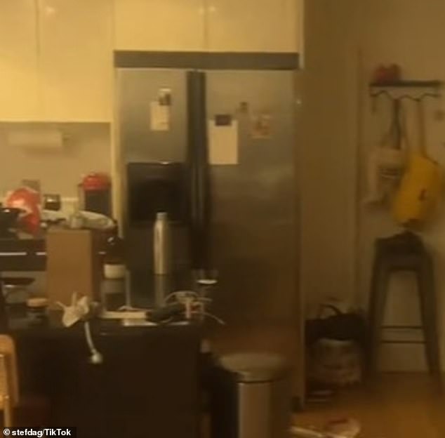 Stef pointed out another similarity on TikTok. In the photo is your refrigerator.