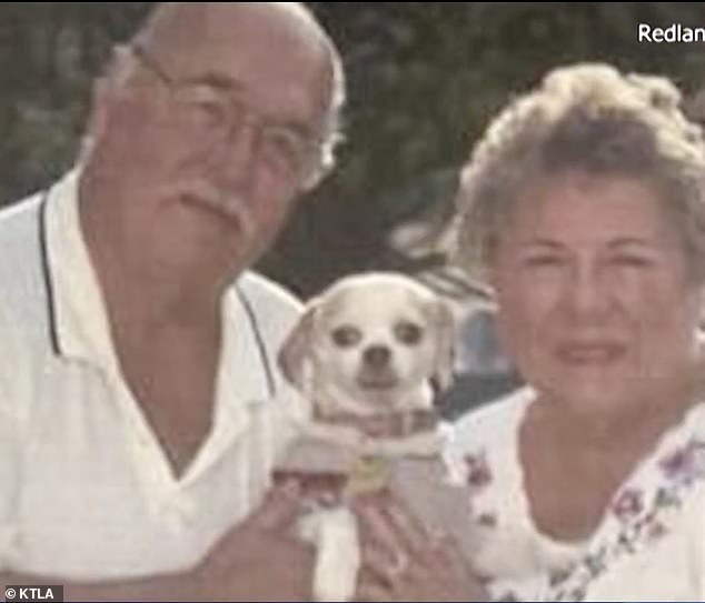 The couple's beloved shih tzu, Cuddles, was never located