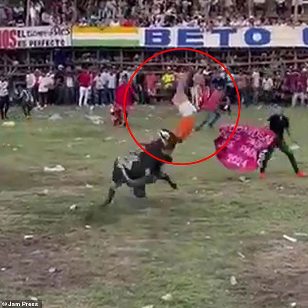 The man received a severe blow to the head from the bull after it tried to throw him off.