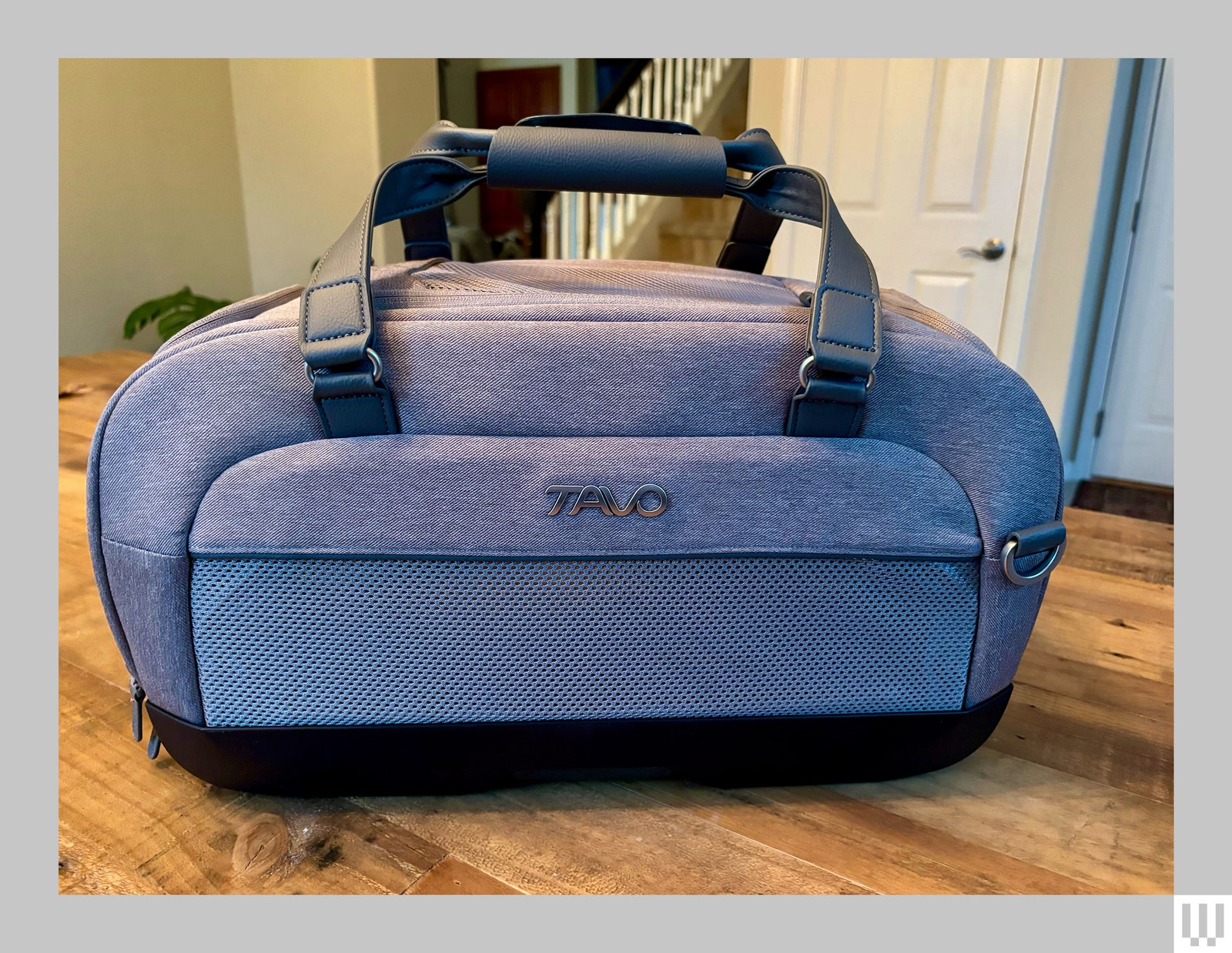 Tavo Dupree 2, a pet carrier with two top handles sitting on a wooden surface