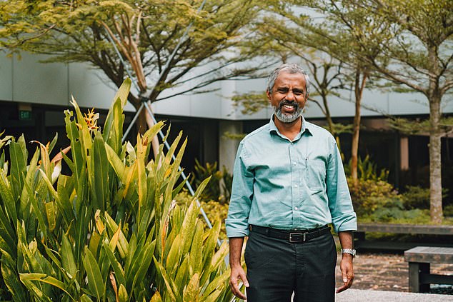 Above is Changi horticulturist Khaja Nazimuddeen, who reveals that at any given time there are around 800 butterflies fluttering around Changi.