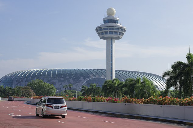 Khaja explains that the horticulture team takes care of the plants that line the airport roads.