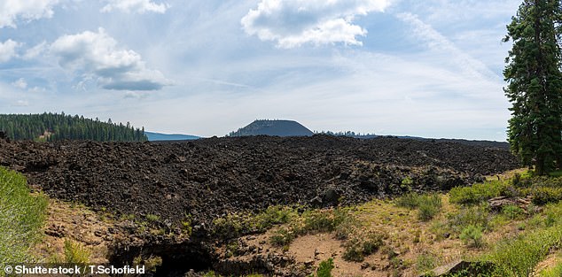 The Modoc National Forest would be included in the Sáttítla Monumental Area