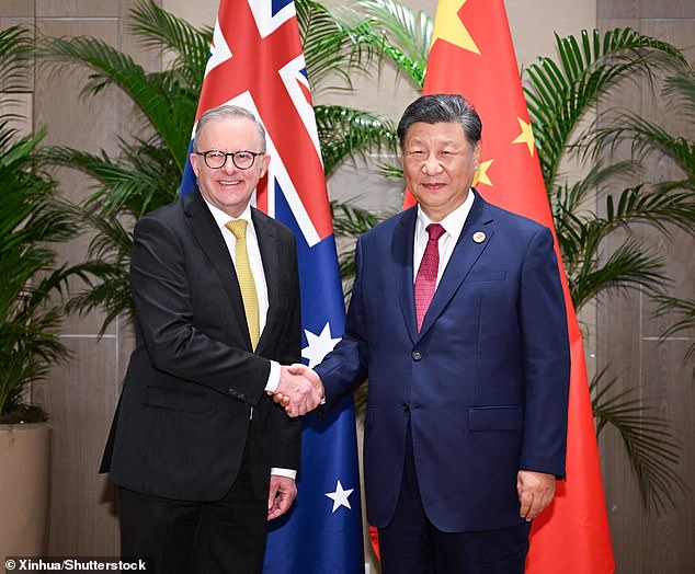 Anthony Albanese (left) meets with Chinese President Xi Jinping (right) on the sidelines of the G20 summit in Brazil.