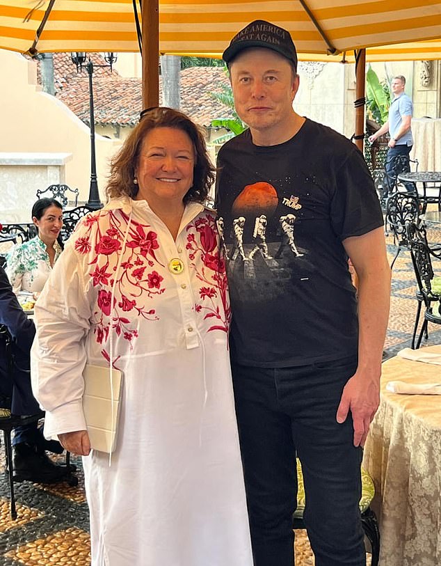 Billionaires Gina Rinehart (pictured left) and Elon Musk (pictured right) advocate reducing government waste.