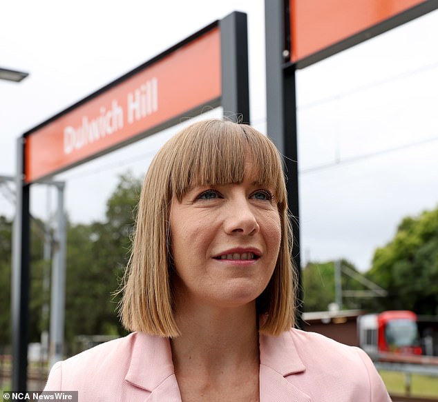 NSW Transport Minister Jo Haylen (pictured) said the strike would affect millions