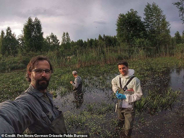 In the absence of human activity, biodiversity within the Chernobyl exclusion zone flourished