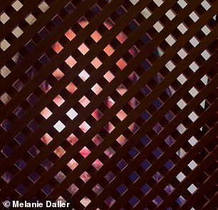 Visitors see the animated face of Jesus through the grille of the confessional