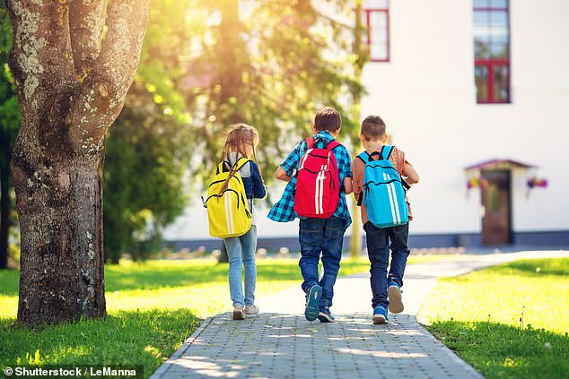 Sunlight has a balance of what scientists call red and blue light, and experts are concerned that overexposure to the latter could cause a number of potential negative health problems in the future. stock image