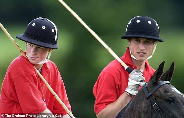 Harry and William take part in a game at Tedworth Polo Club in Wiltshire to raise money for charity in 2002.