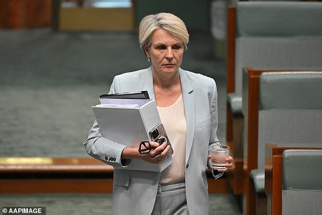 Tanya Plibersek would not have been assigned to a secondary portfolio: she would have been deputy prime minister during the Shorten government.