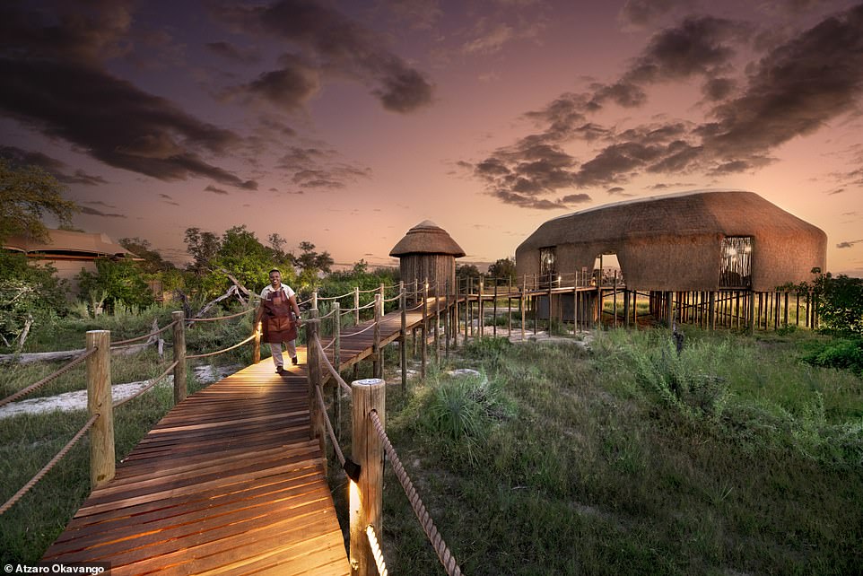 The suites are connected by 'winding wooden walkways', on which elephants are occasionally seen (watch video)