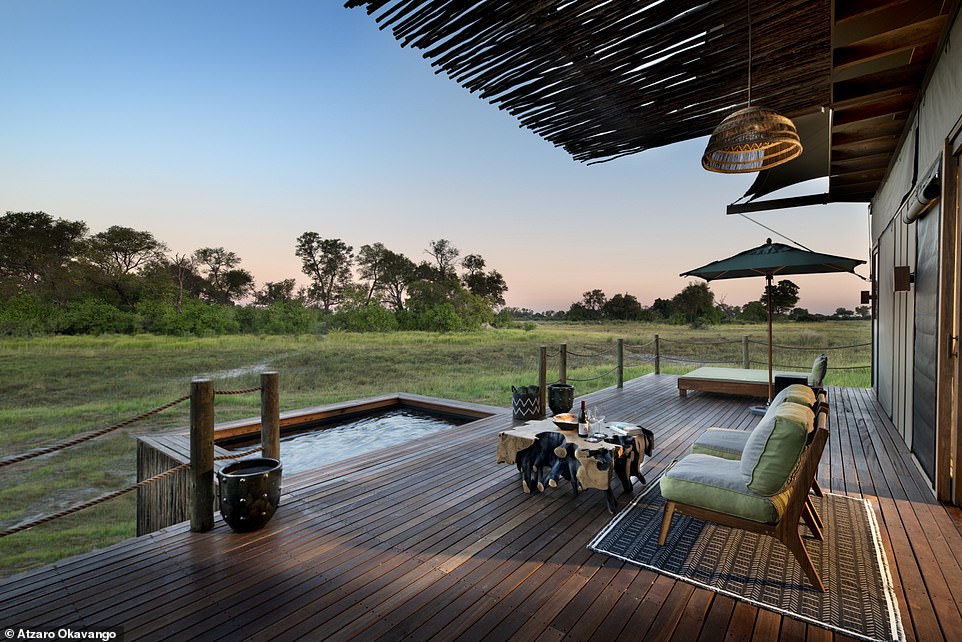 The suite features a private terrace and plunge pool overlooking the private concession.