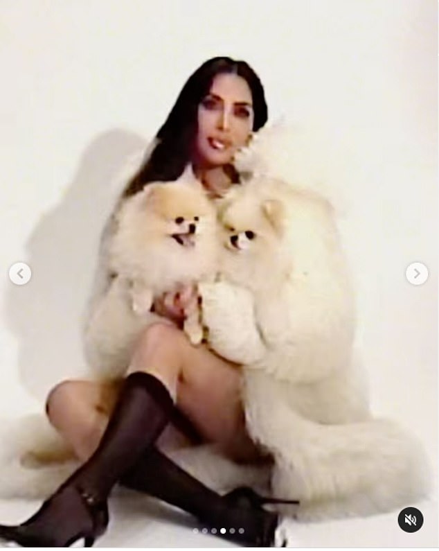 1732208362 383 Kim Kardashians dog Sushi is ALIVE after fans sparked concern