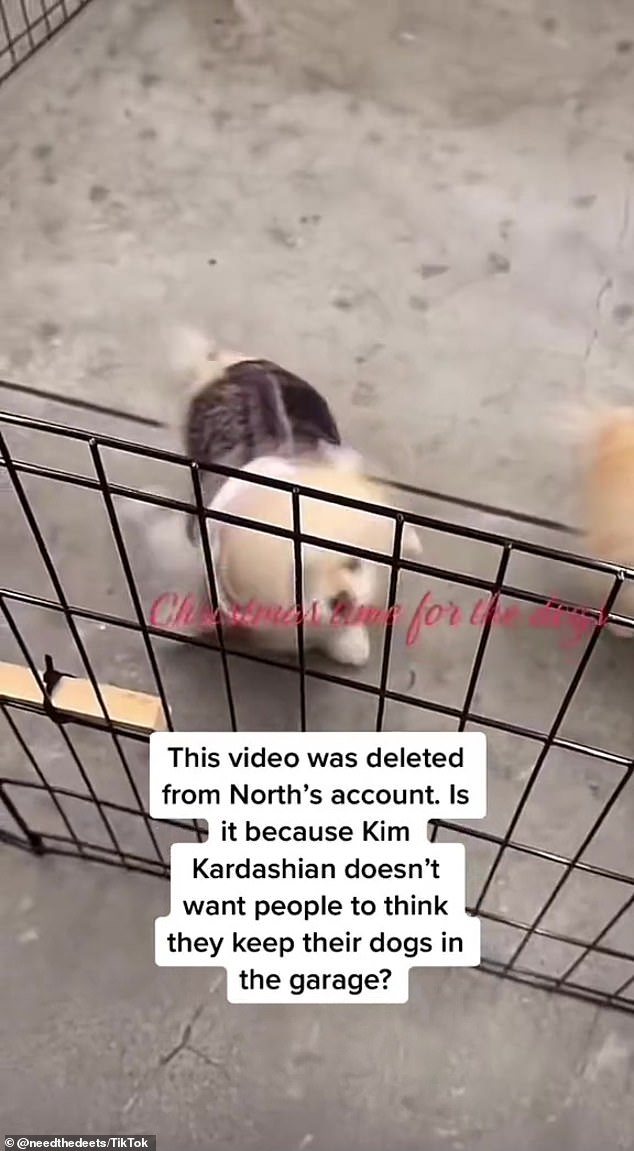 The video, which was reposted by @NeedTheDeets, received backlash as fans criticized Kim for not giving her dogs a better living situation.