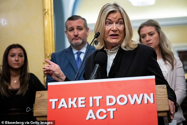 Senator Cynthia Lummis, a Republican from Wyoming, speaks during a news conference