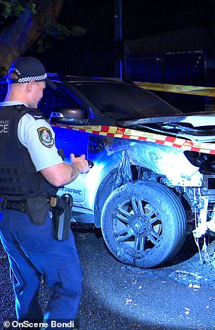 Police at the scene of a burned car