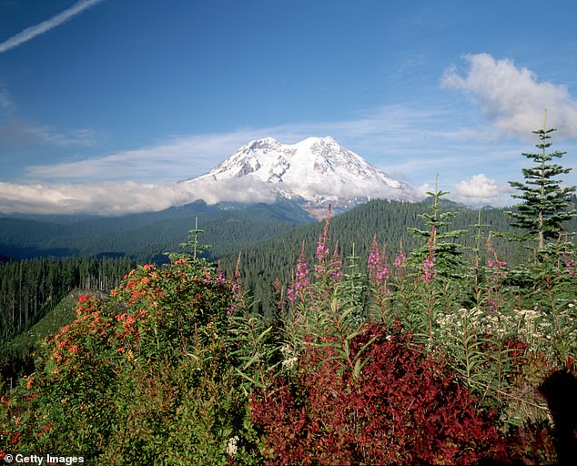 Before laying the blame on the factory, authorities speculated that a nearby active stratovolcano, Mount St. Helens (pictured) – just over an hour's drive from the paper mill – may have contributed to the odor.