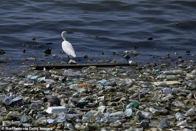 Much of the plastic sent to Indonesia ends up in landfills or the sea