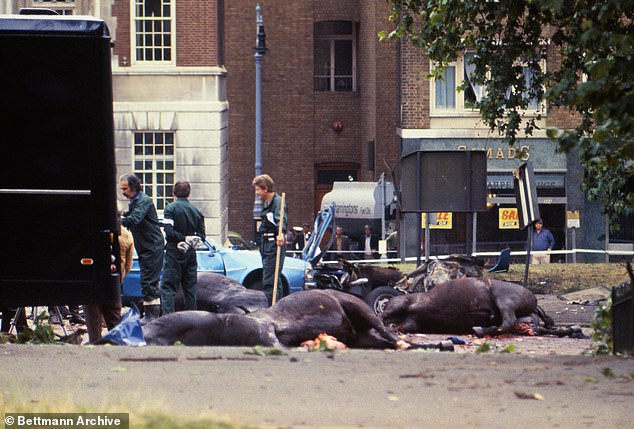 The bodies of Royal Cavalry horses lie on the road in Hyde Park after the horrendous attack.