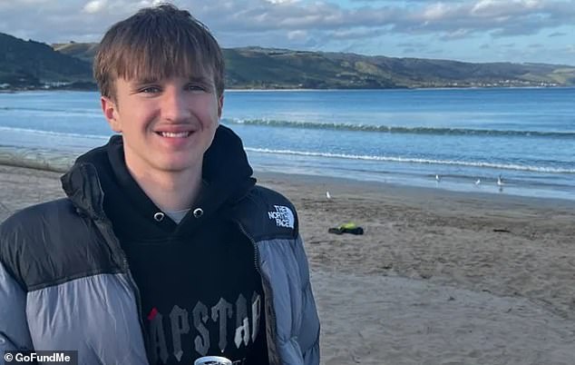 The teenager (pictured), who can only be identified as Isaac for legal reasons, was camping with friends in Wilton, south-west of Sydney, when he was allegedly stabbed by Greig.