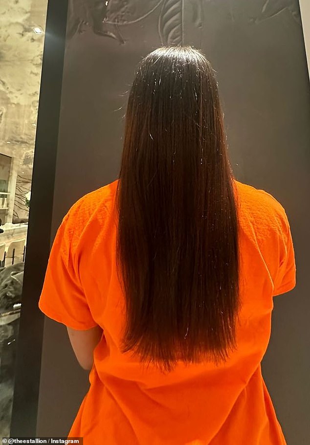 Megan posted a photo of her straight, sleek locks from behind.