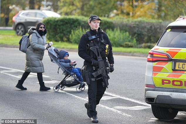 An armed police officer was on the road near Gatwick Airport yesterday