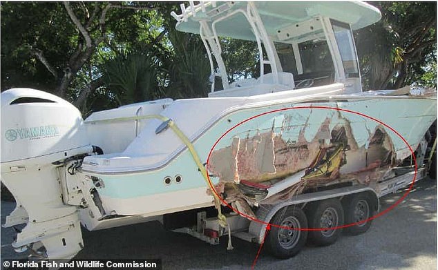 An investigation revealed that Pino was piloting the 29-foot vessel back to the dock when he struck a canal marker while traveling at about 50 miles per hour, near Boca Chita Key. Pictured: Severe damage to the boat caused by the fatal crash