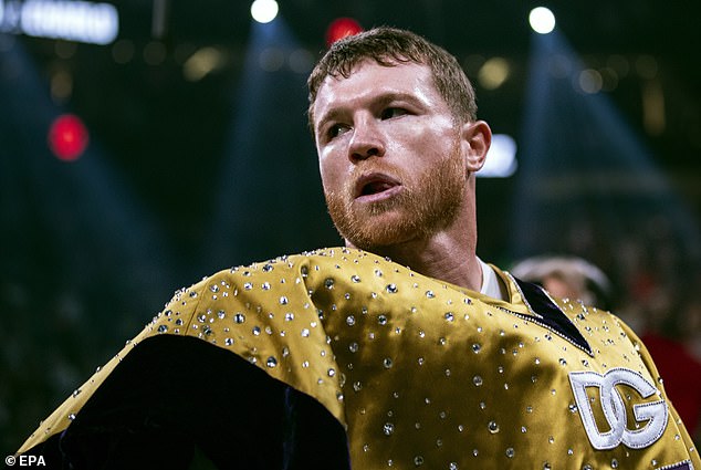 Paul is desperate to face Canelo Alvarez, but doing so would end disastrously for him