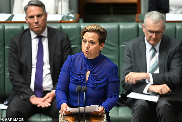 Communications Minister Michelle Rowland introduces the divisive bill on Thursday.