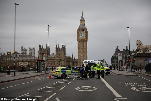 Officers were called to reports of a fight on Westminster Bridge at around 10.45am today and found a man suffering from a stab wound.