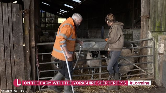 Clive was seen walking on crutches while helping Amanda with the sheep.