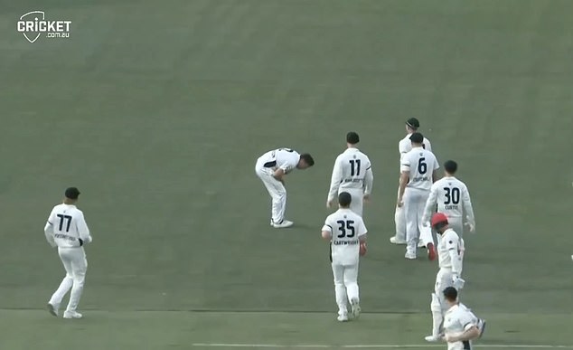 But while celebrating the wicket, he appeared to hurt his shoulder after high-fiving a teammate.