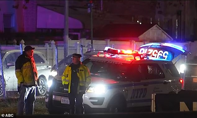 Priyanka Sewhani fell from the back seat of a 2019 Volkswagen Passat traveling eastbound on the Long Island Expressway around 1:40 a.m. (Pictured: Police officers at the scene)