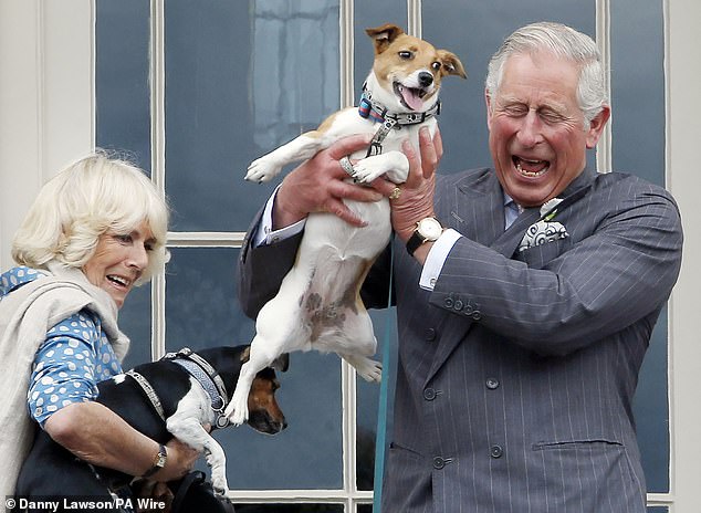 King Charles III and Queen Camilla (then the Prince of Wales and Duchess of Cornwall) holding her dogs Beth (left) and Bluebell in 2015