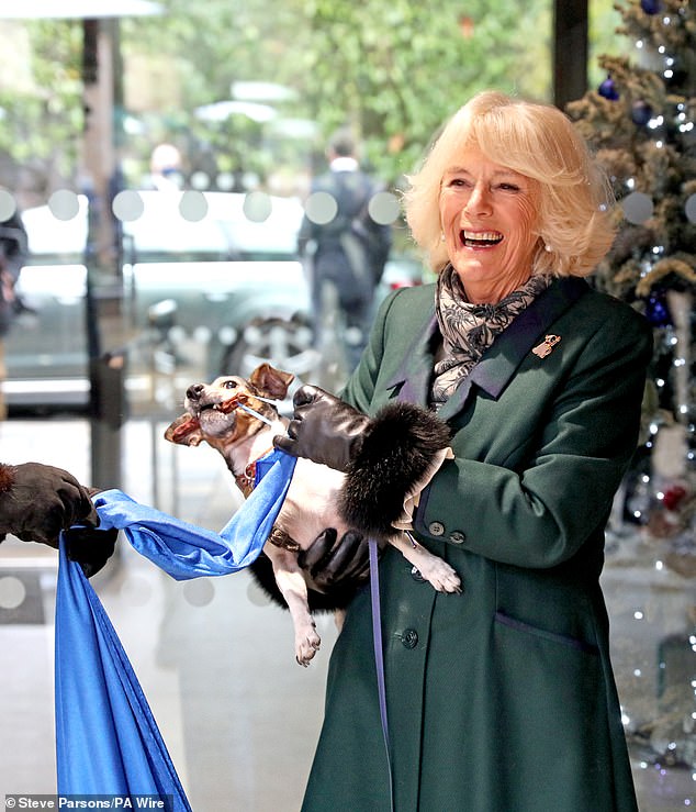 She adopted the then 12-week-old pup in August 2011 after falling in love with her photo in an email sent to her by Battersea Dogs and Cats Home