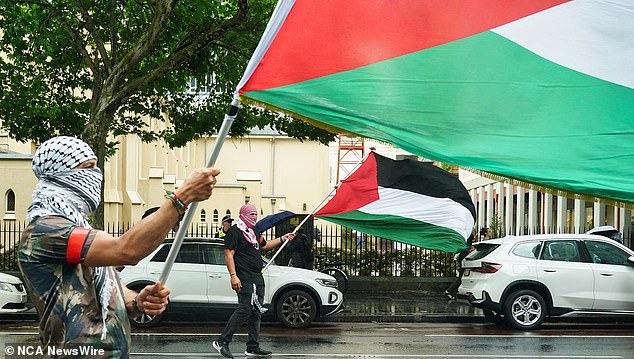 The pro-Palestinian protesters were surrounded by specialized police to keep them separated from the pro-Israeli crowd.