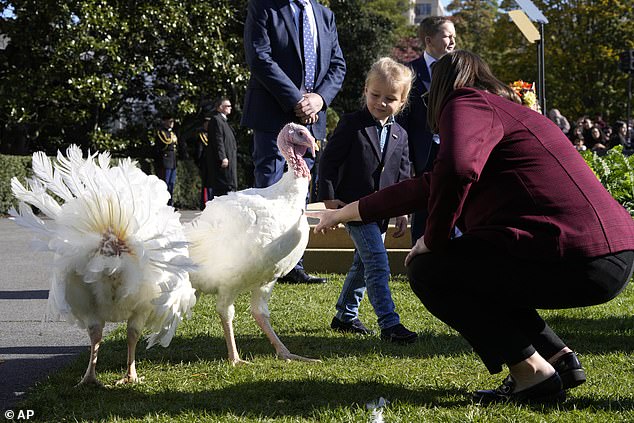 Beau Biden with Peach and Blossom, the Thanksgiving turkeys