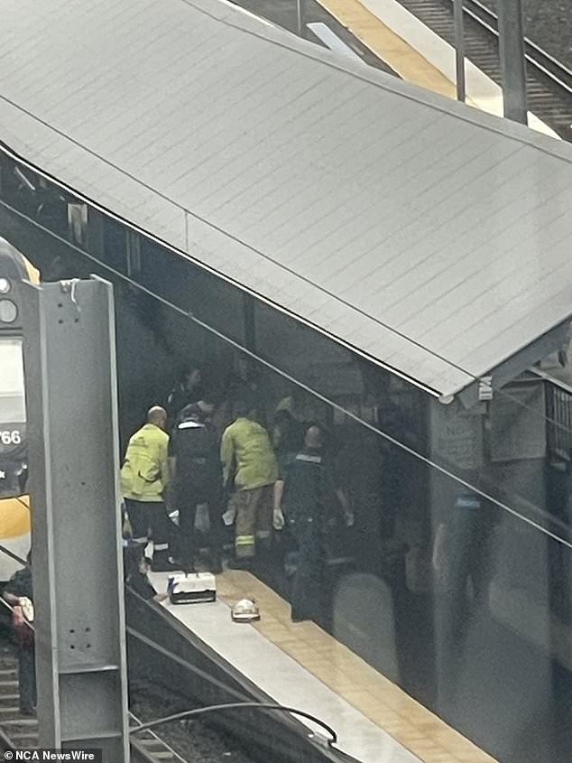 Queues have resumed after a person was hit by a train in Brisbane this morning (pictured)