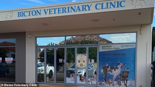 The strange encounter, which was filmed by Peterson's partner Jack Higgs, was shared with the famous vegan's 84,000 followers on Facebook (pictured: the veterinary clinic).