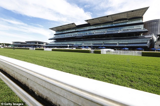 The horse had been completing a routine swimming session in the horse pool at Randwick Racecourse in Sydney.