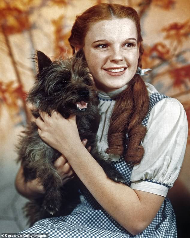 The original novel by L. Frank Baum was adapted into the iconic 1939 film The Wizard of Oz with Judy Garland playing the role of Dorothy Gale.