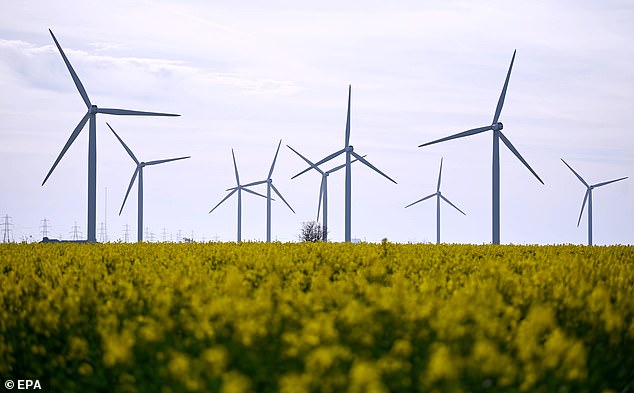 Labour's plan to decarbonise the energy grid by 2030 could mean households will have to ration their electricity use (file photo)