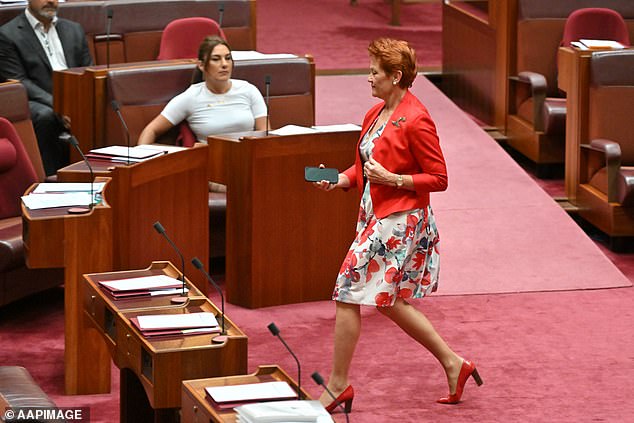 Earlier in the day, Senator Pauline Hanson could be seen crossing in front of Independent Senator Lidia Thorpe, who repeatedly shouted 