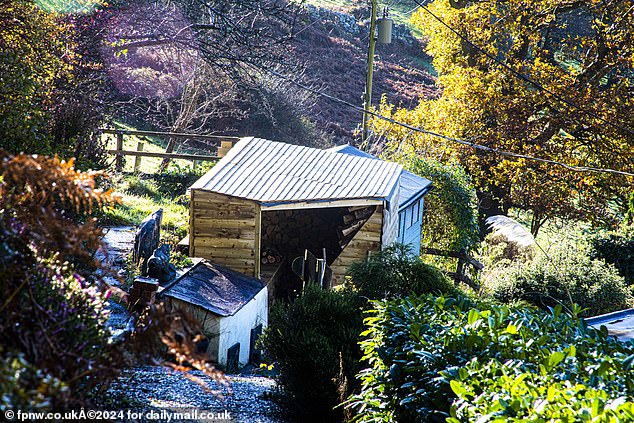 The photo shows the wood shed of the house at the back of the garden