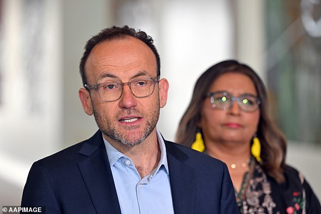 The Greens, whose support Labor needs in the Senate to pass the legislation, have not yet backed the Better Targeted Retirement Concessions and Other Measures Bill 2023 (pictured, leader Adam Bandt with his deputy Mehreen Faruqi)