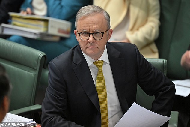 Prime Minister Anthony Albanese and his ministers have promised to reduce immigration by bringing in fewer international students.