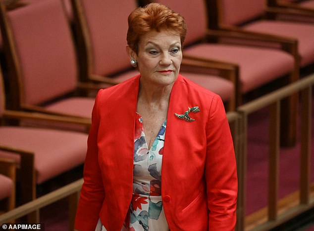 On November 1, a federal court found that Senator Hanson (pictured) had racially vilified Mehreen Faruqi by telling her that 